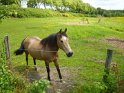 2015-05-21 12-33-30 Rando Breteuil JFi